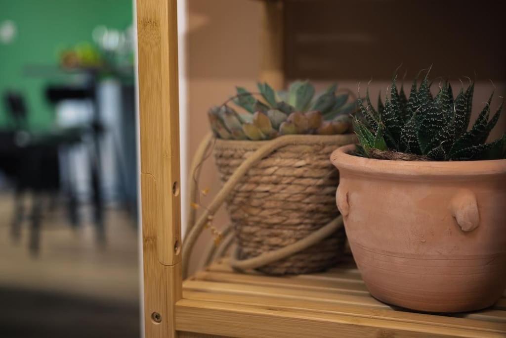 Coin De Nature En Centre-Ville Troyes Dış mekan fotoğraf