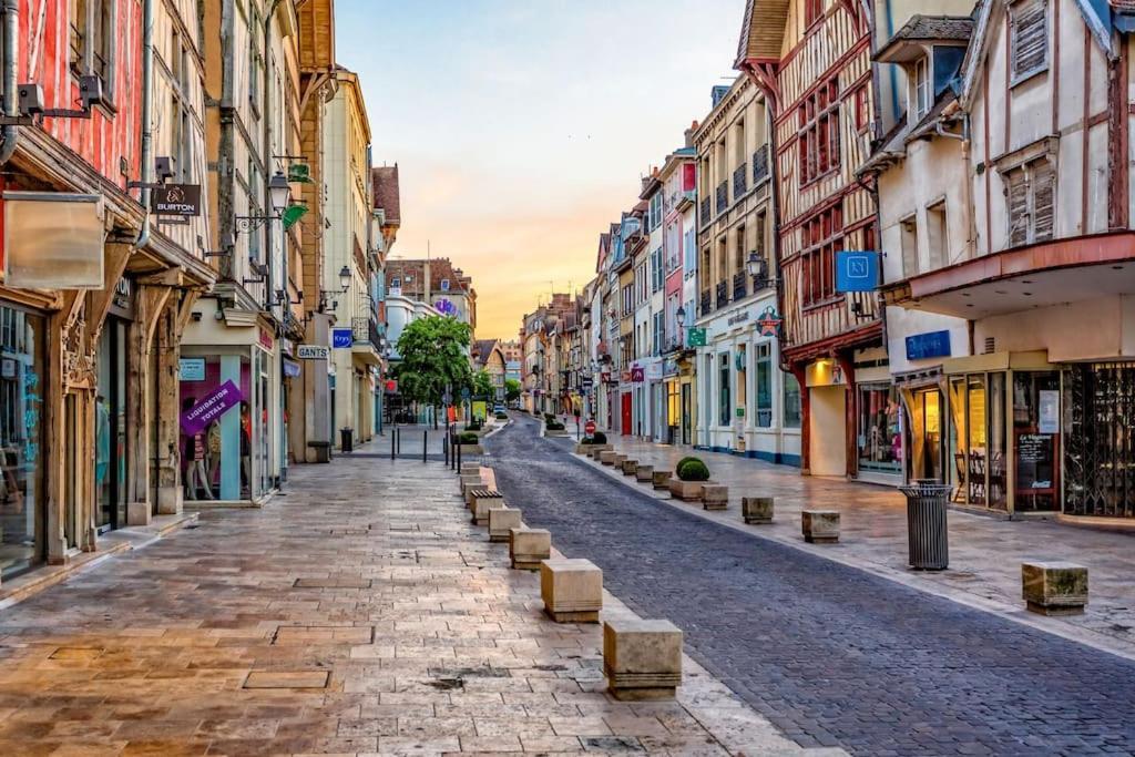 Coin De Nature En Centre-Ville Troyes Dış mekan fotoğraf